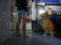 Cody's New Trick ( Close the Fridge )