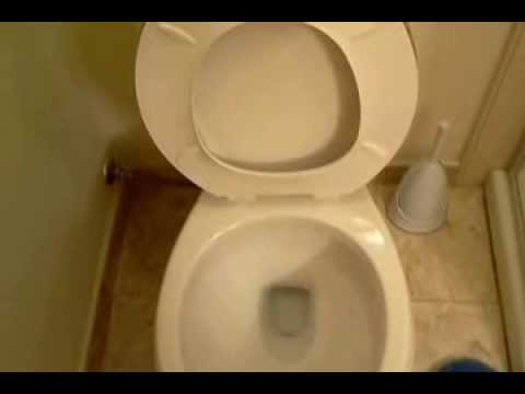 how to quietly unclog a toilet