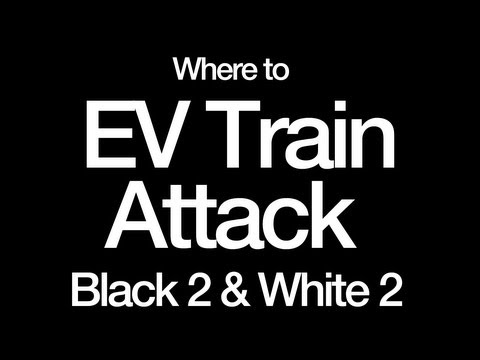 how to ev pokemon black