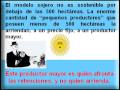 ALTERNATIVA: Retenciones a la exportacion del campo
