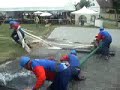 �herce extraliga 2008
