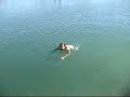 Dive in Lake