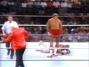 brainbuster squash wwf 89