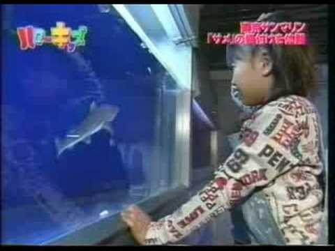 岡井千聖 and 中島早貴 (℃-ute )
