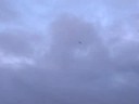 Typhoon evening fly