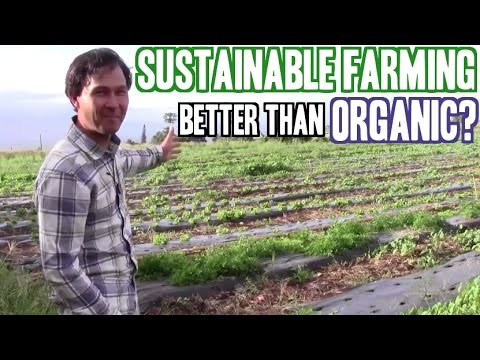 how to practice sustainable agriculture