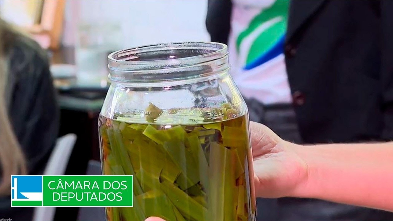 Oficina de chás e repelentes naturais é realizada no Viveiro do Senado - 26/06/26