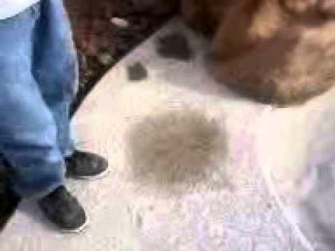 how to repair kool deck