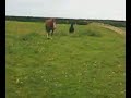 Me With Cracker In The Field Having A Chat :P