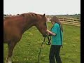 Me With Cracker In The Field Having A Chat :P
