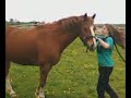 Me With Cracker In The Field Having A Chat :P