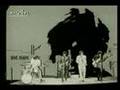 The-Move-Wild-Tiger-