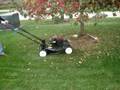 Neighbors new craftman