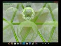 Viewing system w Tactile 3D,Linux desktop: cyborgian
