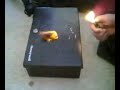 THE IMMORTAL MOZZERELLA STICK