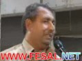 Typical Egyptian غباء مصري نموذجي