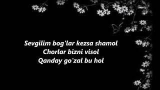 Sinan Özen feat Dilsoz – Sevgilim Sözleri lyri