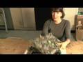 Things - Cathy Moore Creates Laptop Envelopes