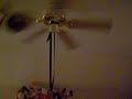Extreme Dog Toy PLaying