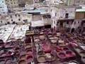 Fez Tannery