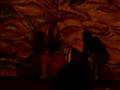 videos de Shakira in Portofelice 2007
