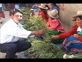 herbolaria
