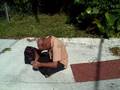 Bradenton Cops Roust a Drunken Vagrant