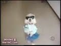 Funny Dog Videos