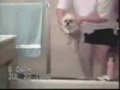 title="Funny