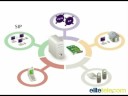 videos de Phone Systems Swyx | Record my phone calls | Elite Telecom