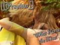 what-hurts-the-most-cascada-final-fantasy-x.html