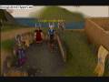 runescape hell cat