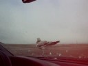 Seagulls Seagulls