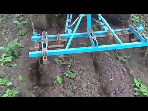 Самодельный культиватор для картофеля Самодельный культиватор для картофеля