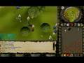 RuneScape Pking - I Coc I - Vid 3
