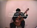 Andres Pantoja guitarra clasica