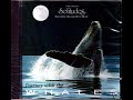Journey with the whales.wmv