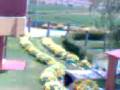videos de eloy