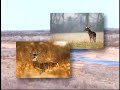Featured Video