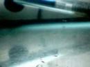 betta fry update (8 days later)