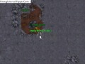 Tibia-Bot-Luring-Par