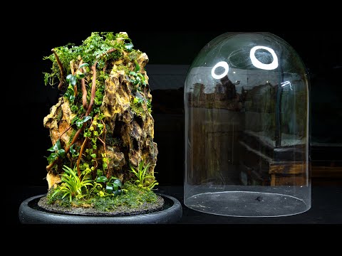 YouTube reptile video