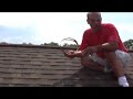 how to prevent roof moss and algae how to prevent roof moss and algae
