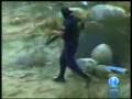 Policia estatal se cae en Tijuana.wmv