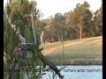 videos de Anhinda Bird
