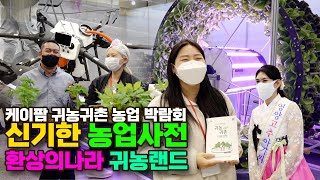토생수
