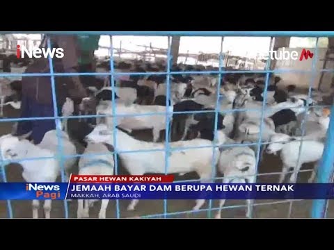 Monday 17 February 2020 Toggle Navigation Program Top Story