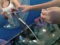 COON TAILS[: