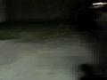 Us Skating (2)