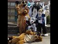 Mtv interview with furries
